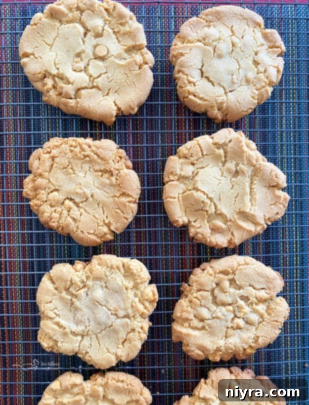 Easy Butterscotch Cookies Cooling Warm, freshly baked giant butterscotch cookies cooling on a wire rack, steam gently rising, showcasing their perfect golden-brown edges.