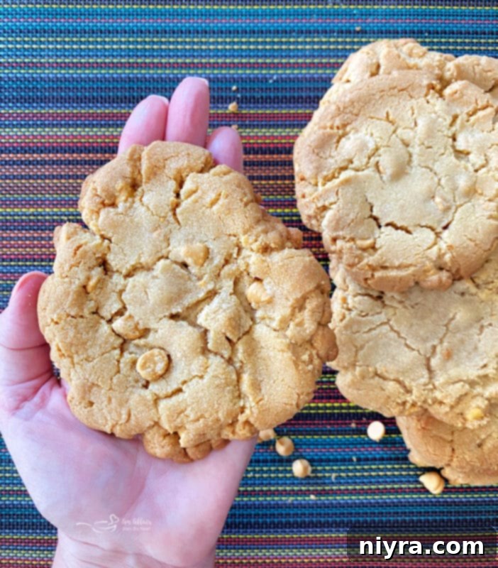 Mega Butterscotch Cookies 4 A hand holding a freshly baked giant butterscotch cookie, showing its soft interior and perfectly melted butterscotch chips.