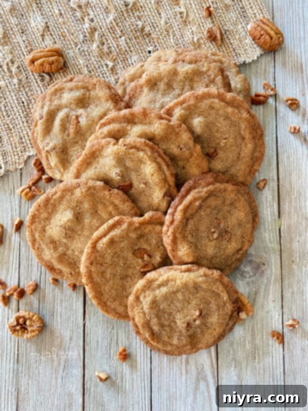 A top-down view of freshly baked pecan butter cookies arranged in a delightful display, with scattered whole pecans, emphasizing the main ingredient.