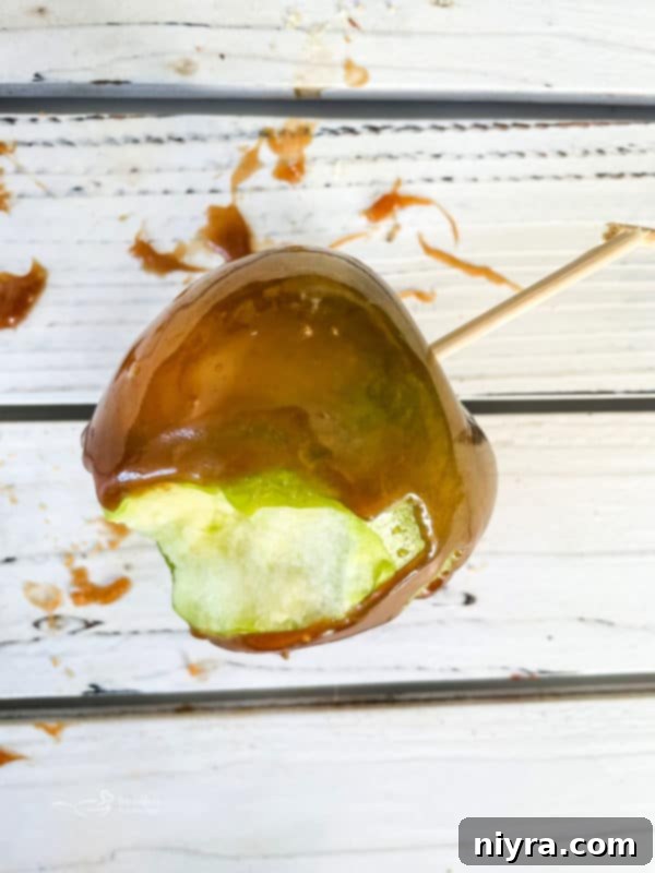 A beautifully finished caramel apple with various toppings