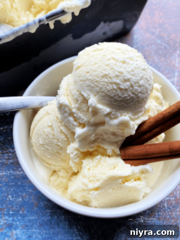 Spiced Vanilla Dream 2 Rich and creamy Homemade Cinnamon Vanilla Ice Cream in a bowl with cinnamon sticks.