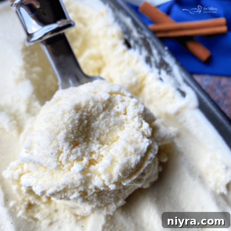 Spiced Vanilla Dream 3 A scoop of homemade cinnamon vanilla ice cream garnished with a cinnamon stick.