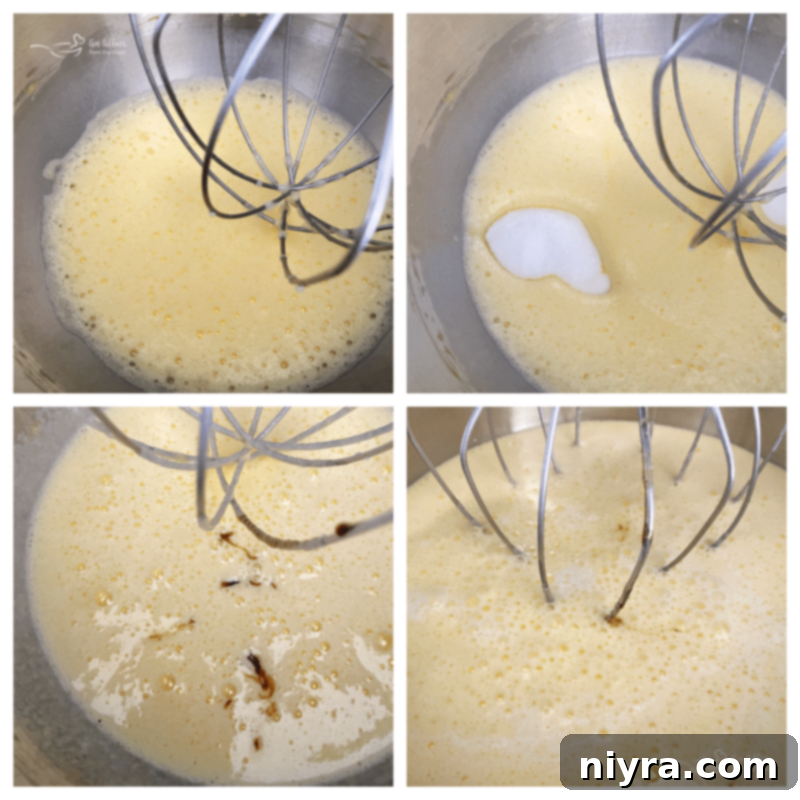 Spiced Vanilla Dream 6 A bowl of creamy vanilla ice cream base being stirred before churning.