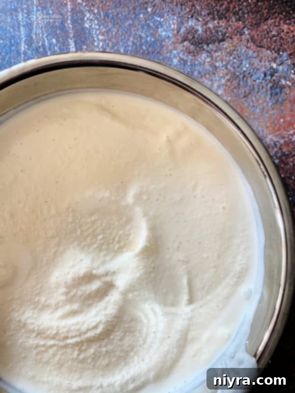 Spiced Vanilla Dream 7 Freshly churned homemade ice cream in an ice cream maker canister.