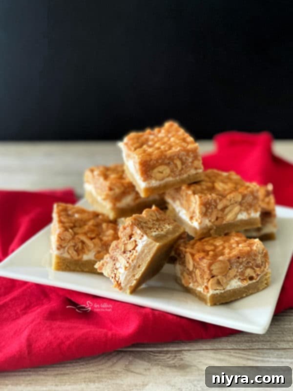 Delicious Salted Nut Roll Bars Recipe