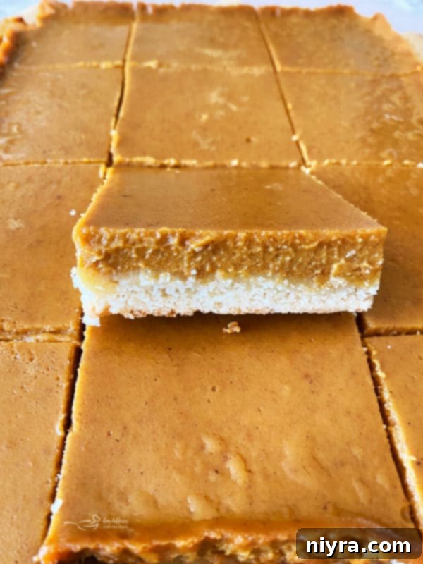 Buttery Shortbread Pumpkin Bars 3 Close-up of a single Pumpkin Pie Bar square on a plate, garnished with a dollop of whipped cream, showcasing the golden shortbread crust and smooth pumpkin filling.