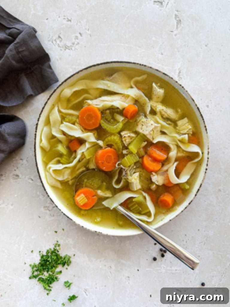 A steaming bowl of homemade chicken noodle soup, garnished with fresh parsley.