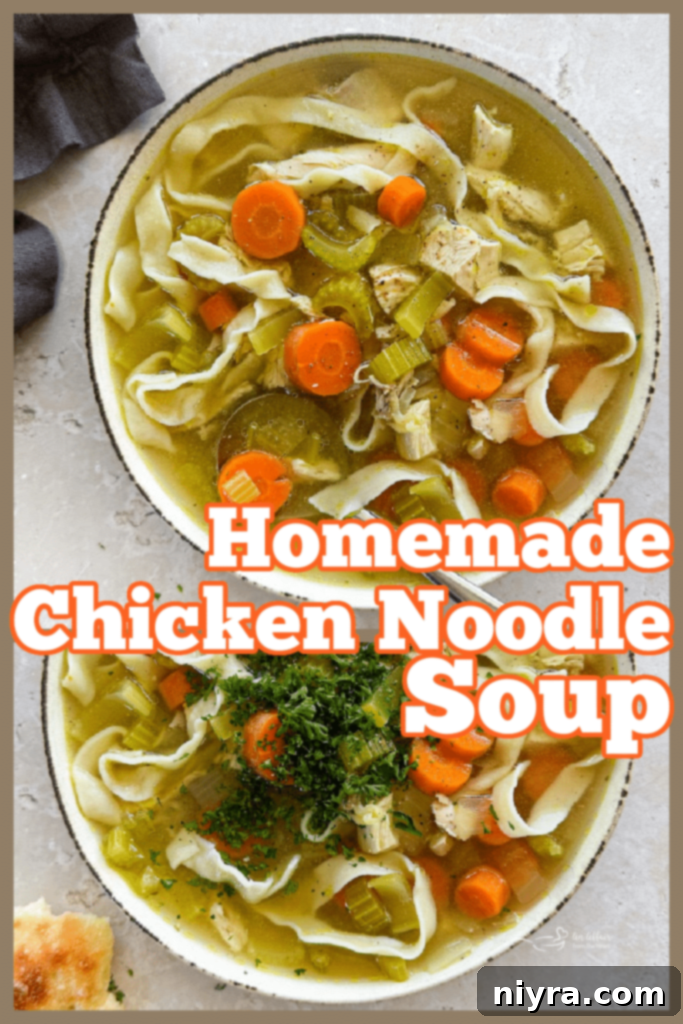 A close-up shot of a bowl of homemade chicken noodle soup, with a spoon and fresh herbs.