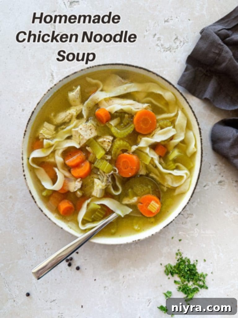 A beautifully presented bowl of homemade chicken noodle soup, ready to be served.
