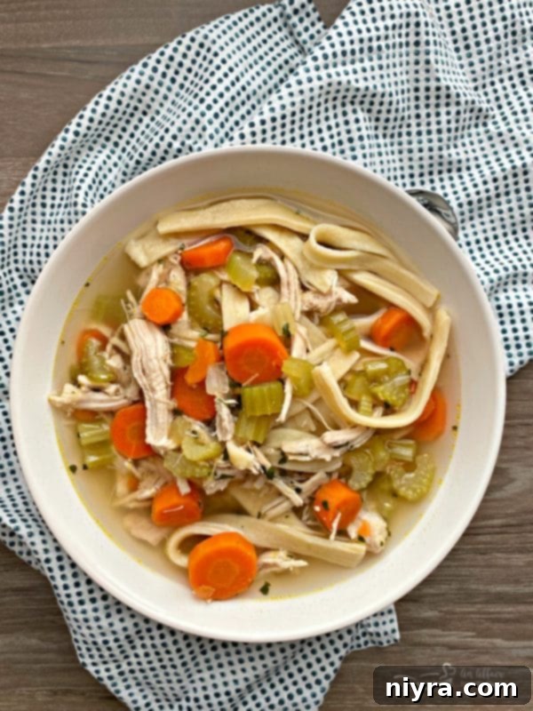 Old photo of a large pot of chicken noodle soup being served.
