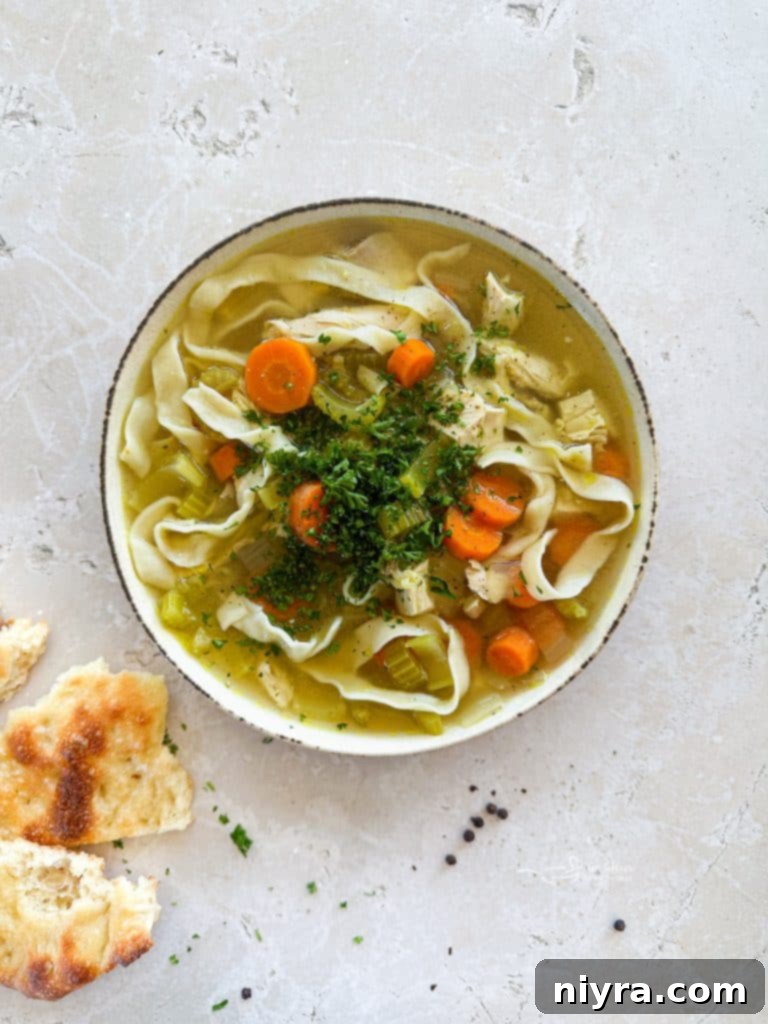 Close-up of hearty homemade chicken noodle soup with tender chicken, vegetables, and thick noodles.