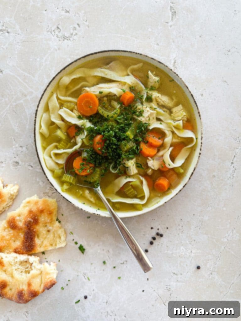 A large bowl of finished homemade chicken noodle soup, garnished with parsley, ready to be enjoyed.