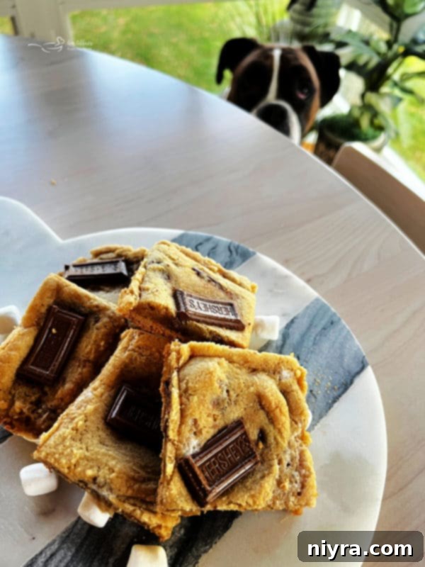 SMores Cookie Bars 4 A tray of S'mores Cookie Bars with a dog in the background