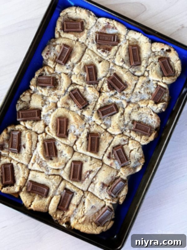 SMores Cookie Bars 10 Freshly baked S'mores Cookie Bars on a cooling rack