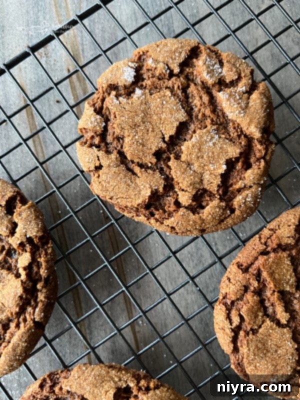 molasses crinkle cookies on wire rack 