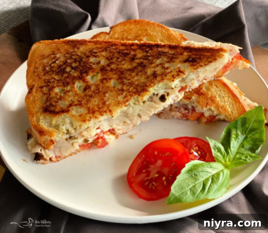 Turkey Havarti Sandwiches - 2