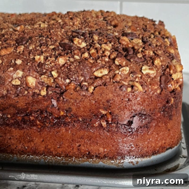 A baked Bittersweet Chocolate Coffee Cake being removed from the springform pan.