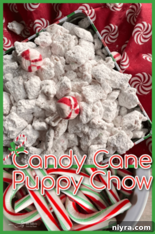 Peppermint Puppy Chow Gift A festive box filled with delicious puppy chow, garnished with whole candy canes.