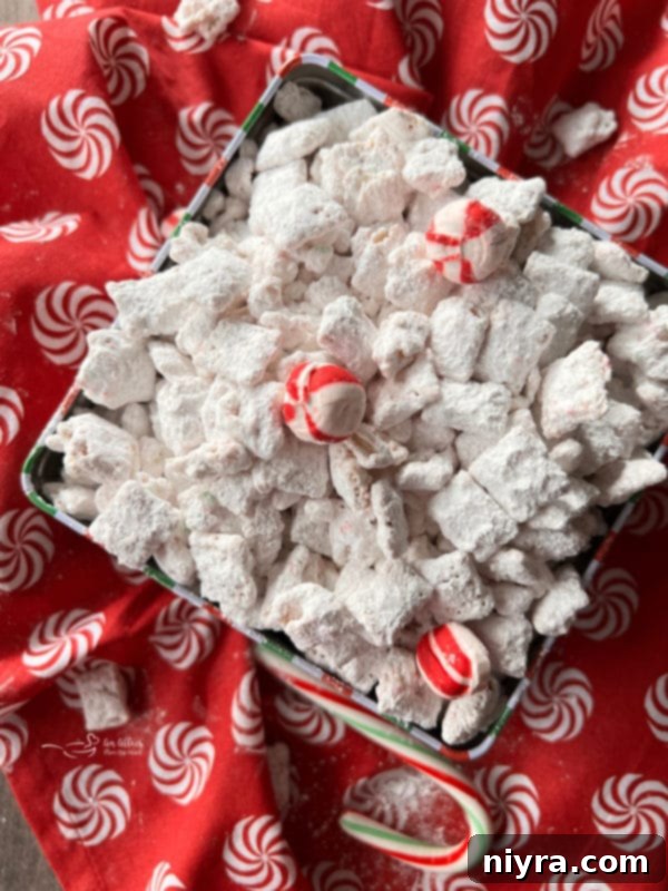 Peppermint Muddy Buddies Snack Close-up of puppy chow in a decorative box, adorned with crushed peppermint pieces.