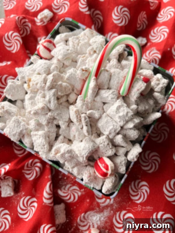 Candy Cane Peppermint Puppy Chow A single box of festive candy cane puppy chow, ready for gifting or enjoying.