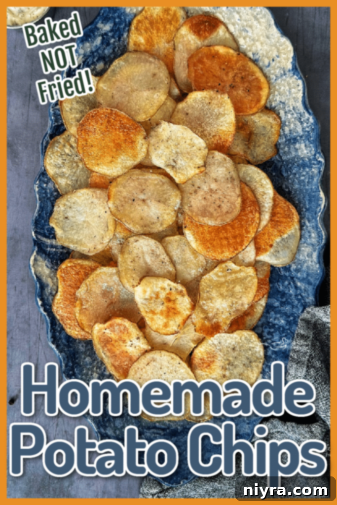 Close up of a bowl of homemade baked potato chips