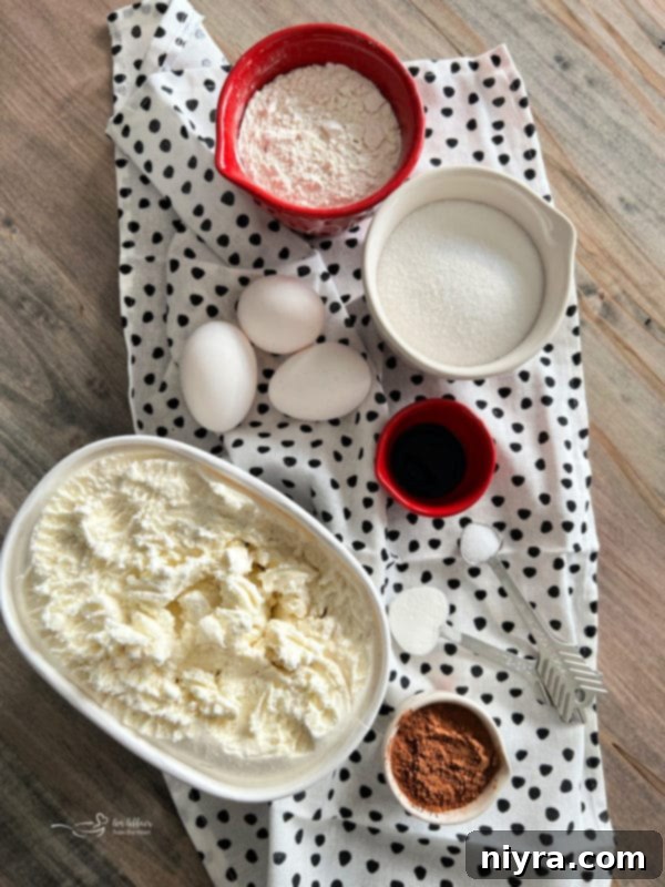 Ice cream cake roll ingredients laid out, including flour, cocoa, eggs, and vanilla ice cream