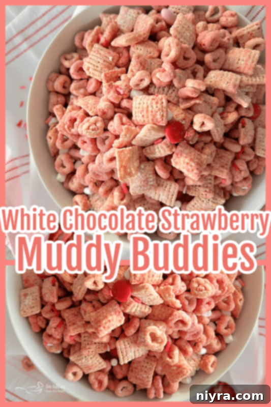 Two side-by-side images of strawberry puppy chow in bowls with descriptive text overlays.
