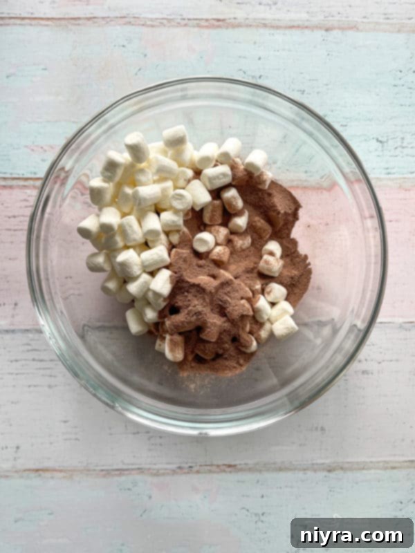 mix hot cocoa powder and mini marshmallows