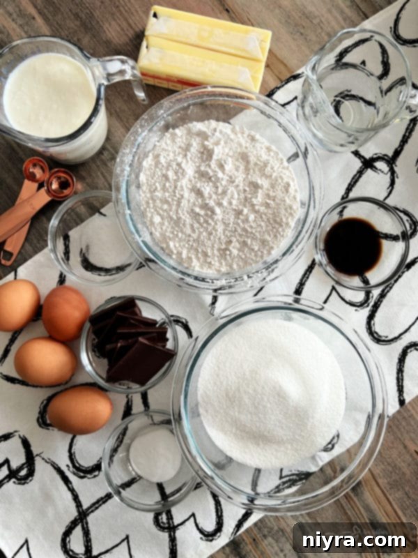 A collection of essential baking ingredients for German Chocolate Cake, including flour, sugar, chocolate, eggs, butter, and vanilla extract, neatly arranged on a counter.