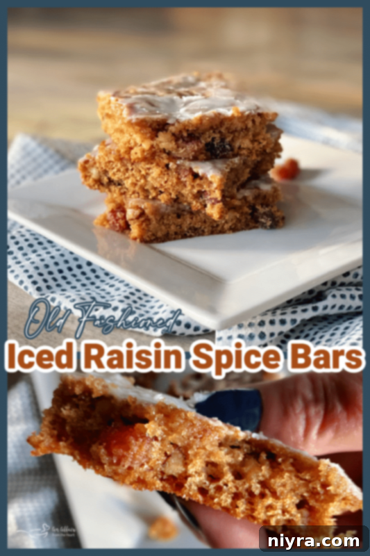 Hearty Spiced Raisin Bars 11 Old Fashioned Iced Raisin Spice Bars on a plate
