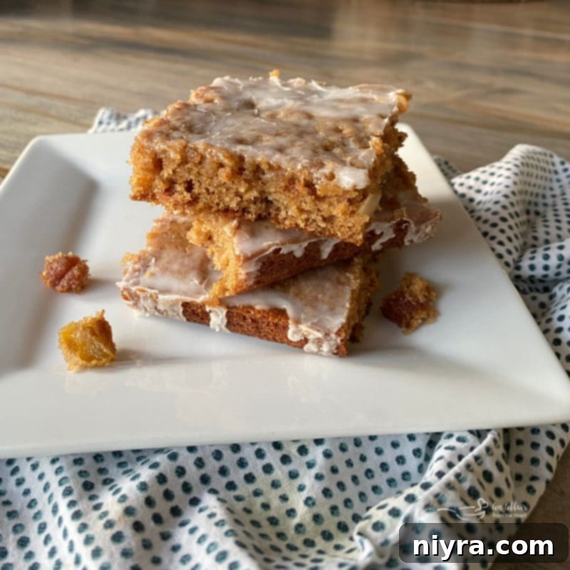 Hearty Spiced Raisin Bars 3 Close-up of Iced Raisin Spice Bars