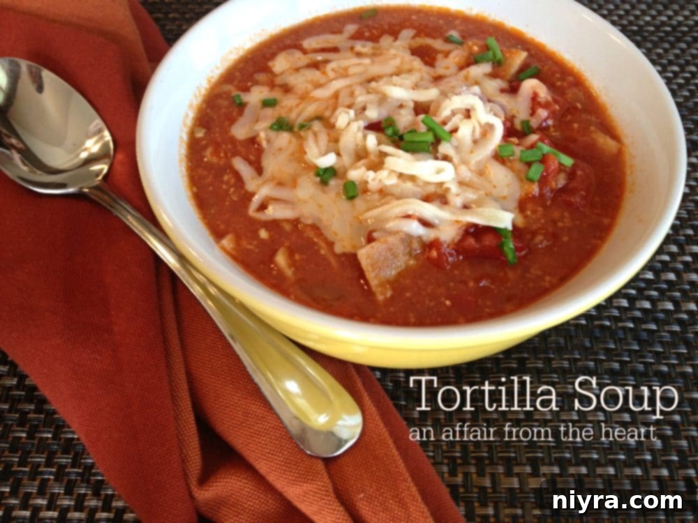A beautifully presented bowl of tortilla soup, garnished with fresh toppings.