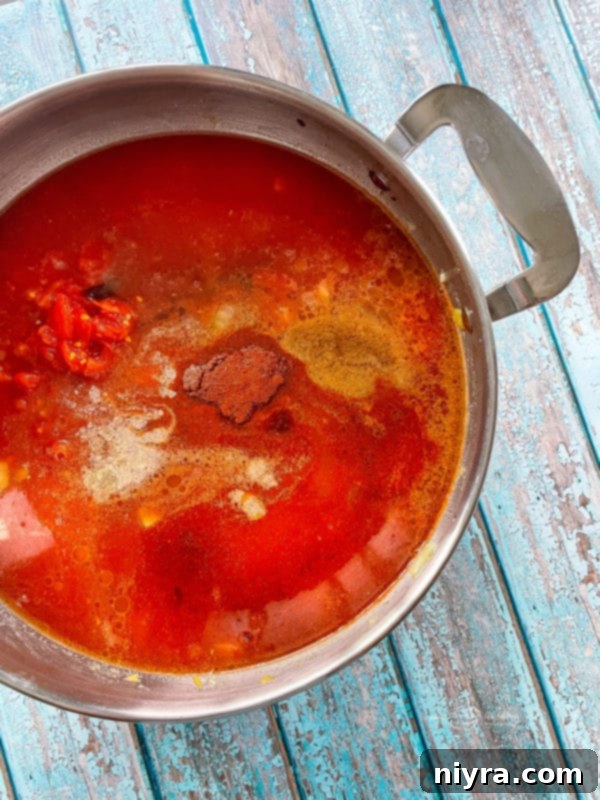 Stirring dry seasonings into the tomato and broth mixture for tortilla soup.
