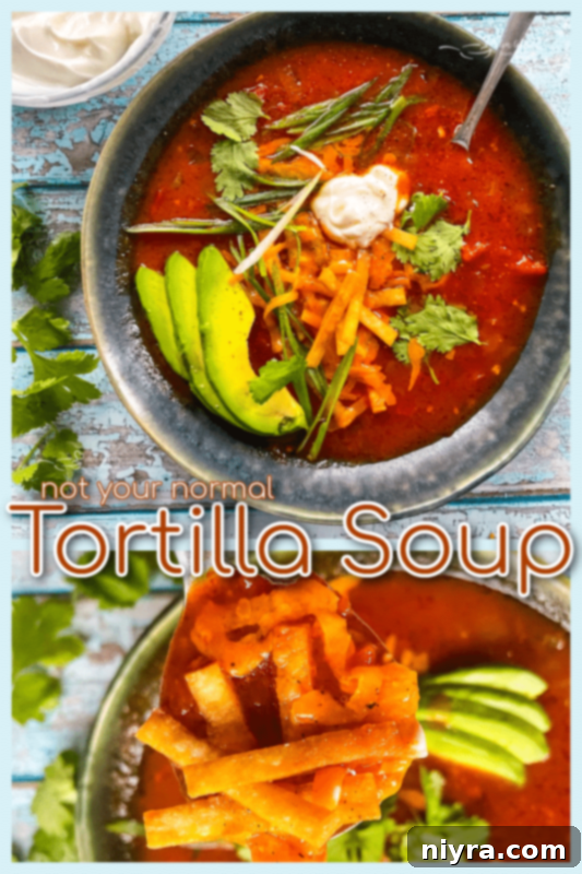 Delicious tortilla soup in a rustic bowl.