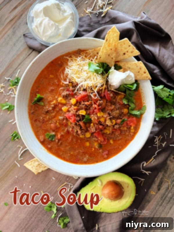 Tex-Mex Fiesta Soup 11 Delicious and Easy Taco Soup Recipe