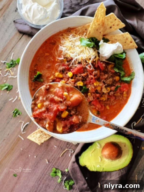 Tex-Mex Fiesta Soup 3 Delicious Beef Taco Soup Ready to Serve