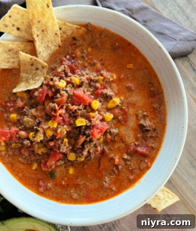 Tex-Mex Fiesta Soup 5 Taco Soup Garnished with Tortilla Chips