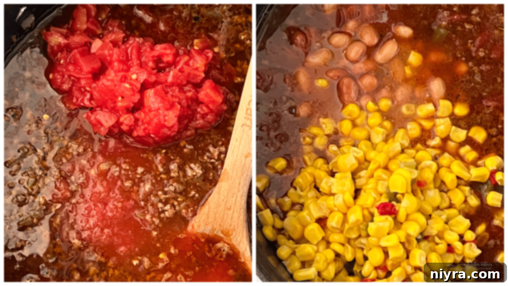 Tex-Mex Fiesta Soup 8 Combine pureed tomatoes, diced tomatoes, pinto beans, MexiCorn, and beef stock in the pot.
