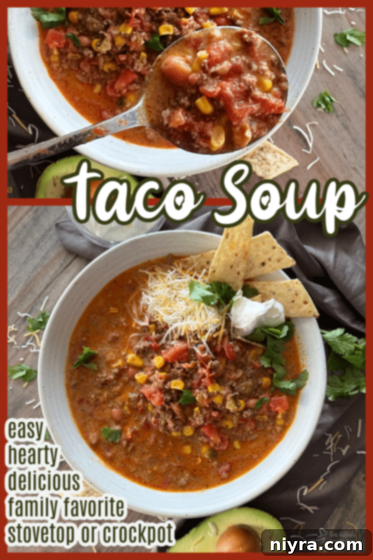 Tex-Mex Fiesta Soup 10 TACO SOUP Recipe - A family favorite from An Affair from the Heart