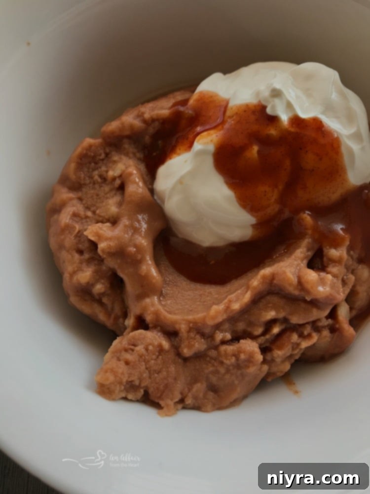 Restaurant Style Refried Beans in a bowl with a spoon and tortilla chips