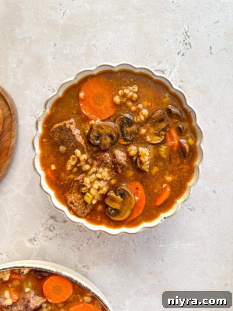 Finished Vegetable Beef Barley Soup with Mushrooms in a pot, ready to be served.