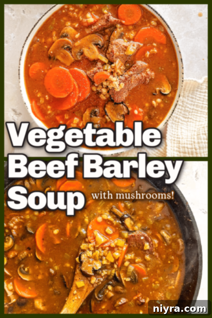 Hearty Vegetable Beef Barley Soup with Mushrooms in a white bowl, ready for a cozy meal.