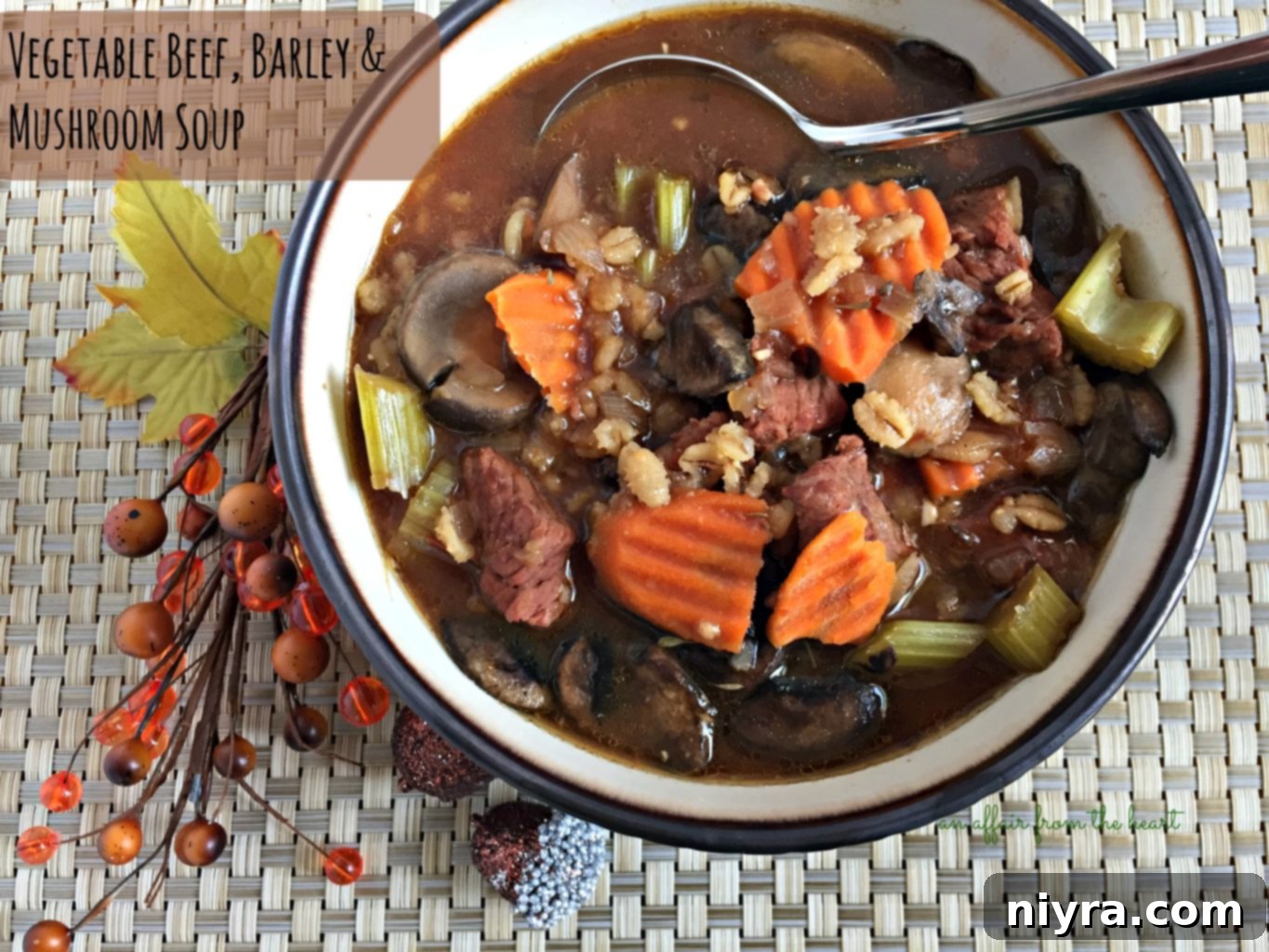 Overhead shot of Vegetable Beef, Barley & Mushroom Soup in a black bowl.
