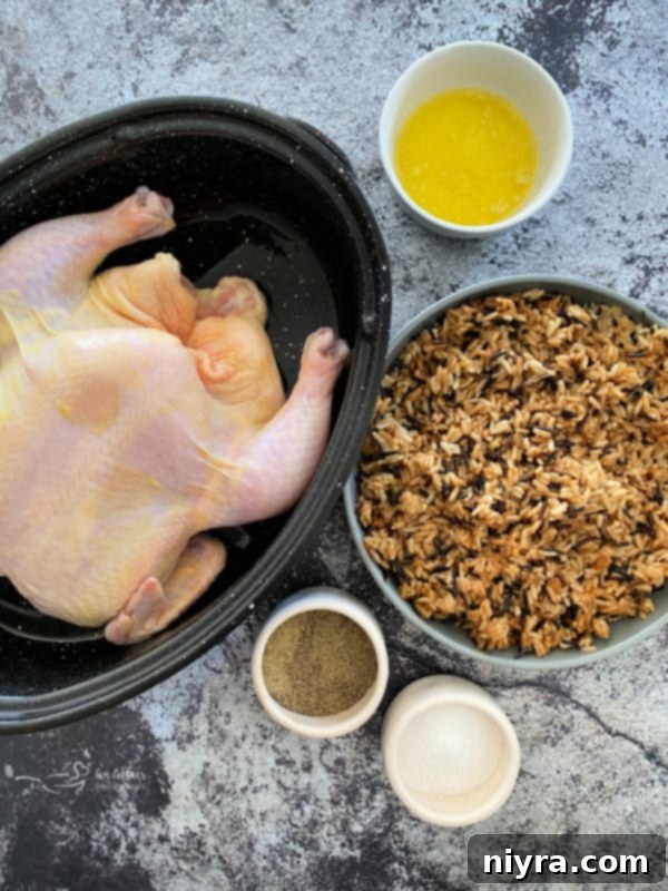 Golden Baked Chicken with Savory Wild Rice Stuffing 5 Close-up of baked chicken and wild rice, showing the golden crispy skin and fluffy rice.