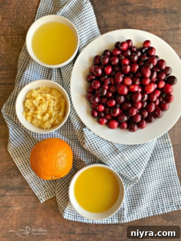 Homemade Cranberry Goodness 6 All the ingredients for Mom's homemade cranberry sauce gathered together in individual bowls, ready for preparation.