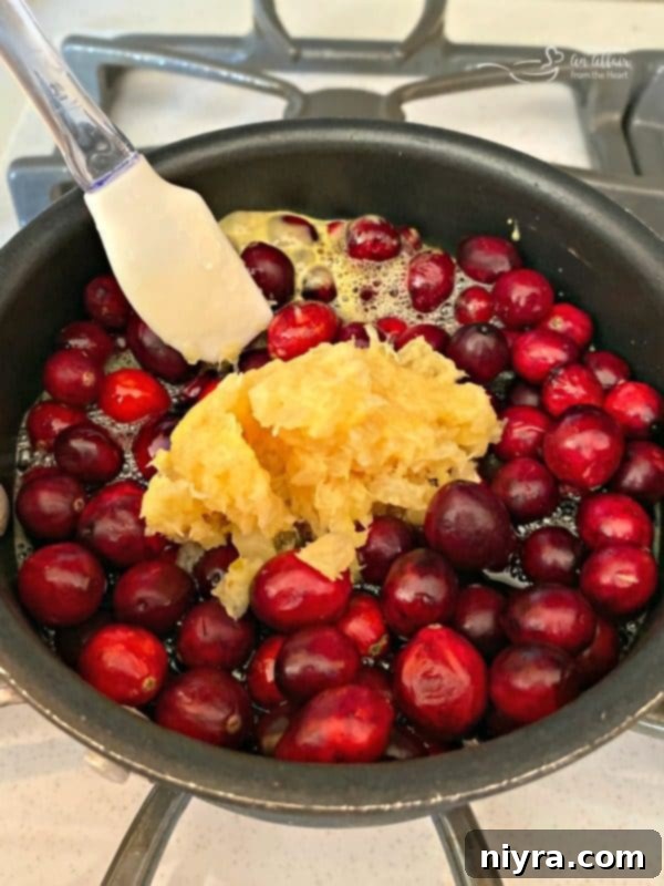 Homemade Cranberry Goodness 7 Cranberry sauce ingredients simmering gently in a saucepan on the stove, beginning to transform.