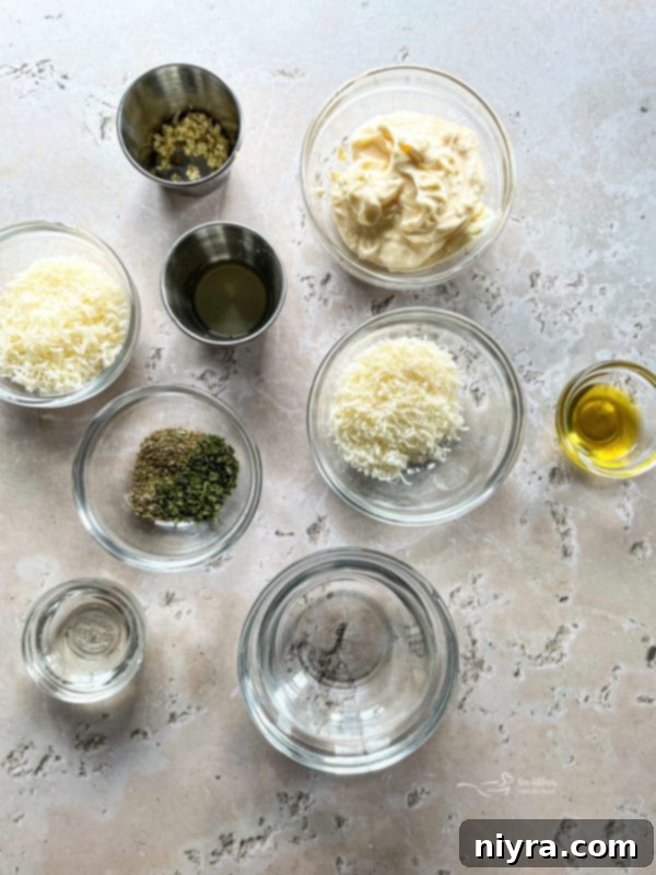 Ingredients for Olive Garden Salad Dressing Recipe