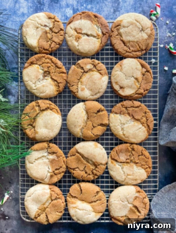 A plate of freshly baked Gingerdoodle Cookies, a perfect blend of gingersnap and snickerdoodle flavors, on a rustic wooden surface.
