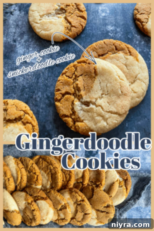 A stunning close-up of a Gingerdoodle cookie, perfectly baked and ready to be enjoyed.