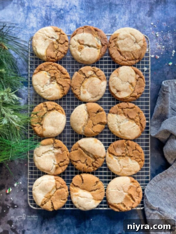 A close-up of several Gingerdoodle cookies with varying degrees of marbling, tempting to pick up and taste.
